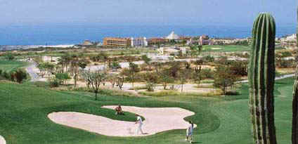 loscabos2.jpg